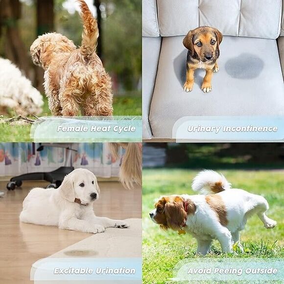 Premium Washable Dog Diapers Female, Reusable Diapers for Doggie in Heat, Highly - Picture 6 of 7